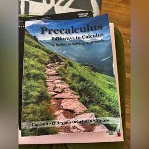 Precalculus Textbook and The History of Art